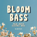 Bloom Bass - Palm Muted Electric Bass (VST/AU) - Lofi Sounds